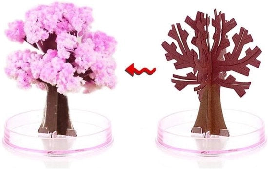 Mini albero di Natale crescente magico - decorazione di Natale di carta - giocattolo per bambini di capodanno