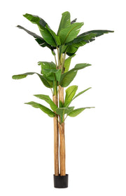 Pianta Artificiale di Banano 170x160x280 cm in Plastica con Vaso Verde