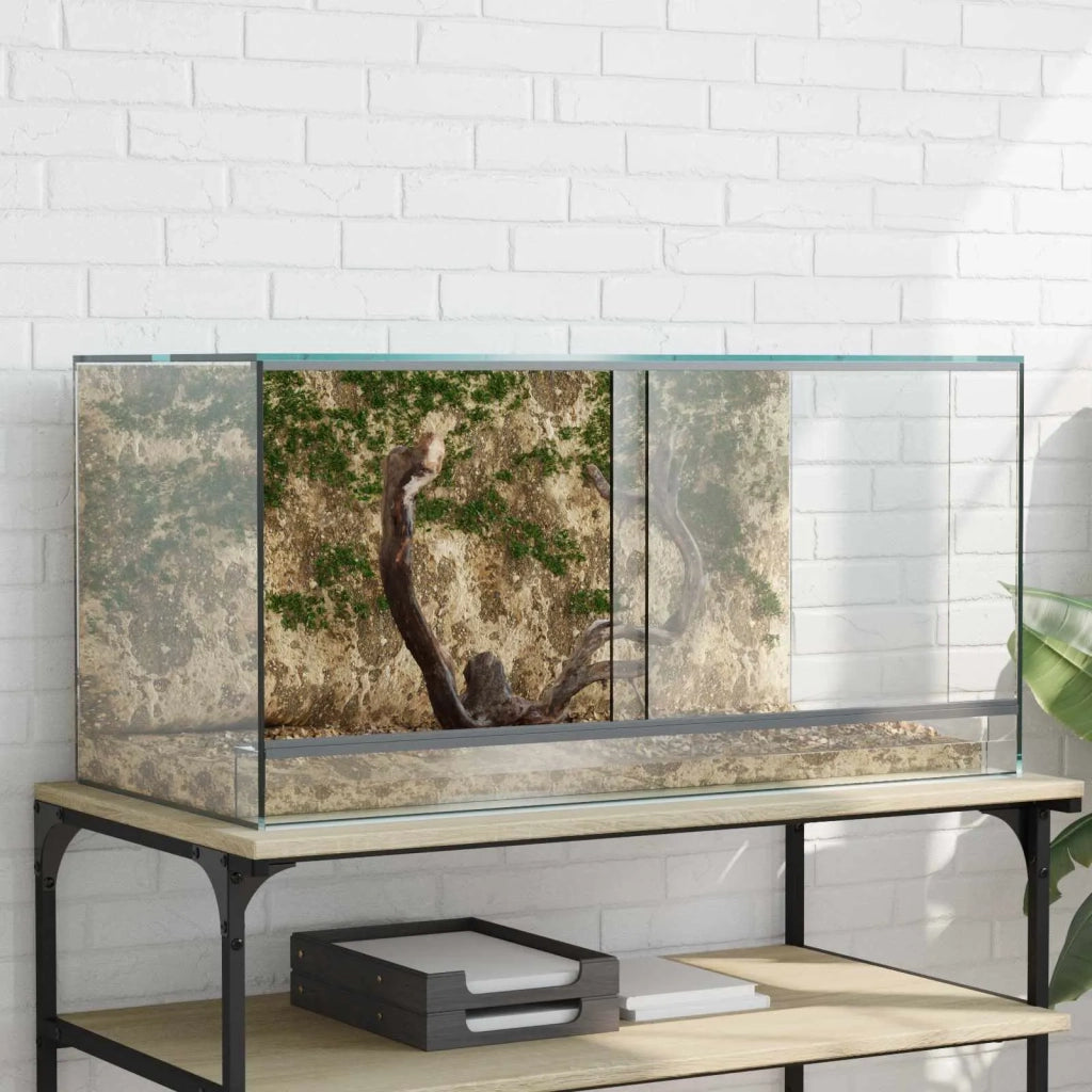 Terrario con archiviazione Trasparente 80 x 40 x 40 cm Vetro 42020392