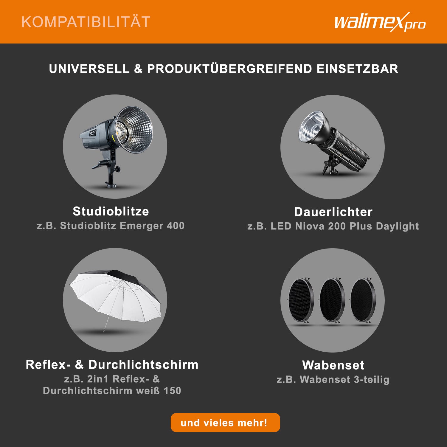 Riflettore standard II - Cono di luce uniforme per il lighting design professionale - Compatibile con walimex pro e attacco Bowens