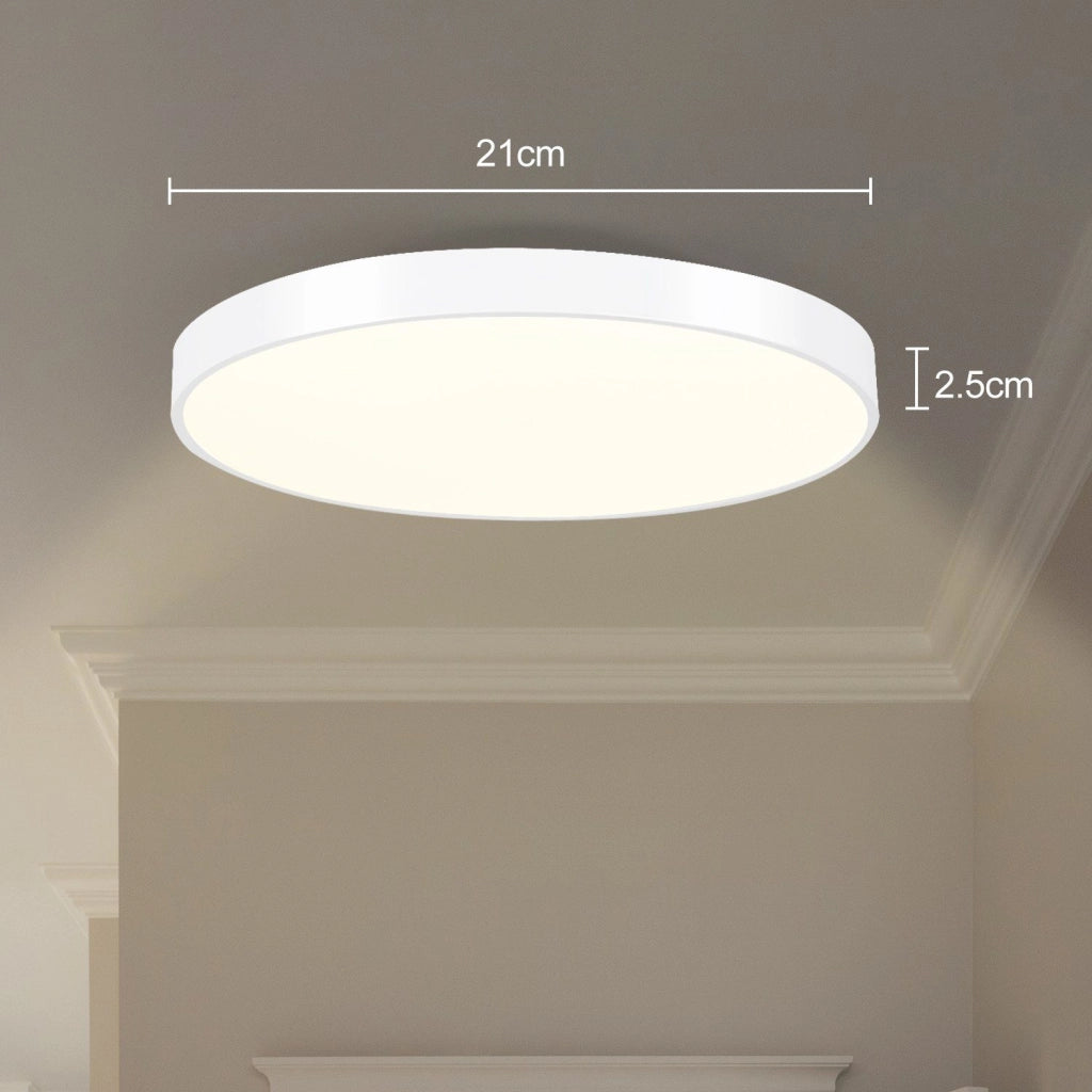 ZMH Lampada da soffitto plafoniera LED moderna per soggiorno cucina camera letto corridoio