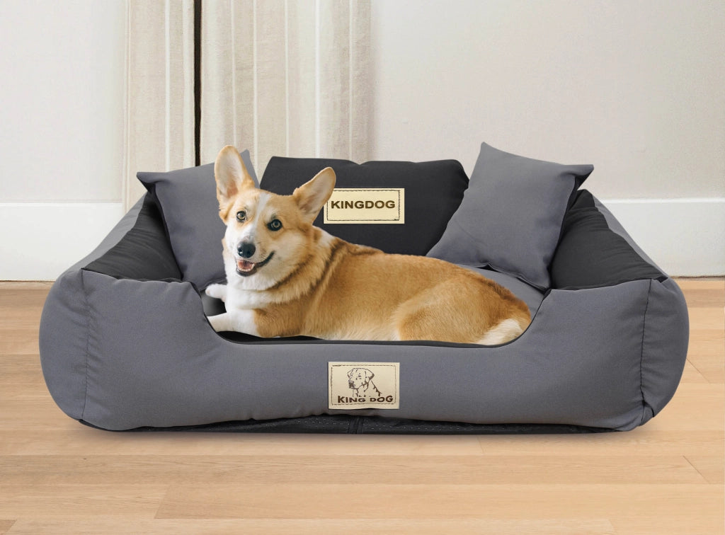 AIO FACTORY 100x75 cm KINGDOG MM43 Cuccia per cani personalizzabile Grigio scuro