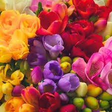 Freesia Double Mix 5/6 – Bulbi dai fiori doppi profumati