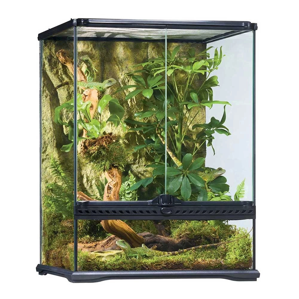 ExoTerra Glass Natural Terrarium Small Tall – cm45x45x60h