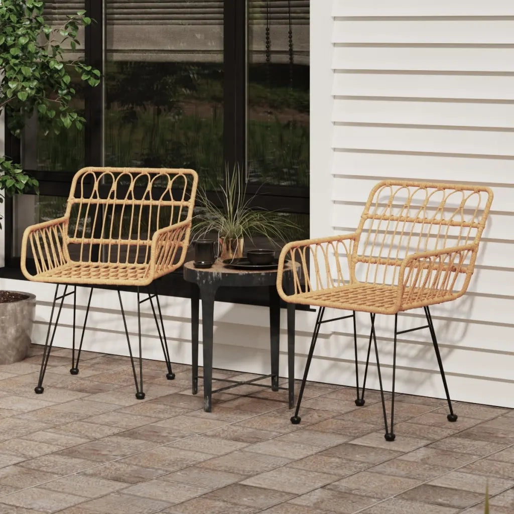 Sedie da Giardino 2 pz | Sedie da Esterno con Braccioli 56x64x80 cm Rattan PE
