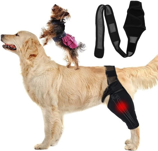 Protezione Articolazione Canina - Supporto Articolare - Luminazione Dolore Artrosico - Adatto per Cani Piccoli/Mediali - Miglioramento Circolazione Sanguigna - Cuscino Comfortevole - Assistenza Cani