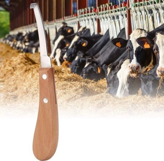 Trimmare per bestiame - Materiale in acciaio carbonio - Lunghezza 21,5 cm - Adatto per uso equino - Mano sinistra o destra - Facile da utilizzare