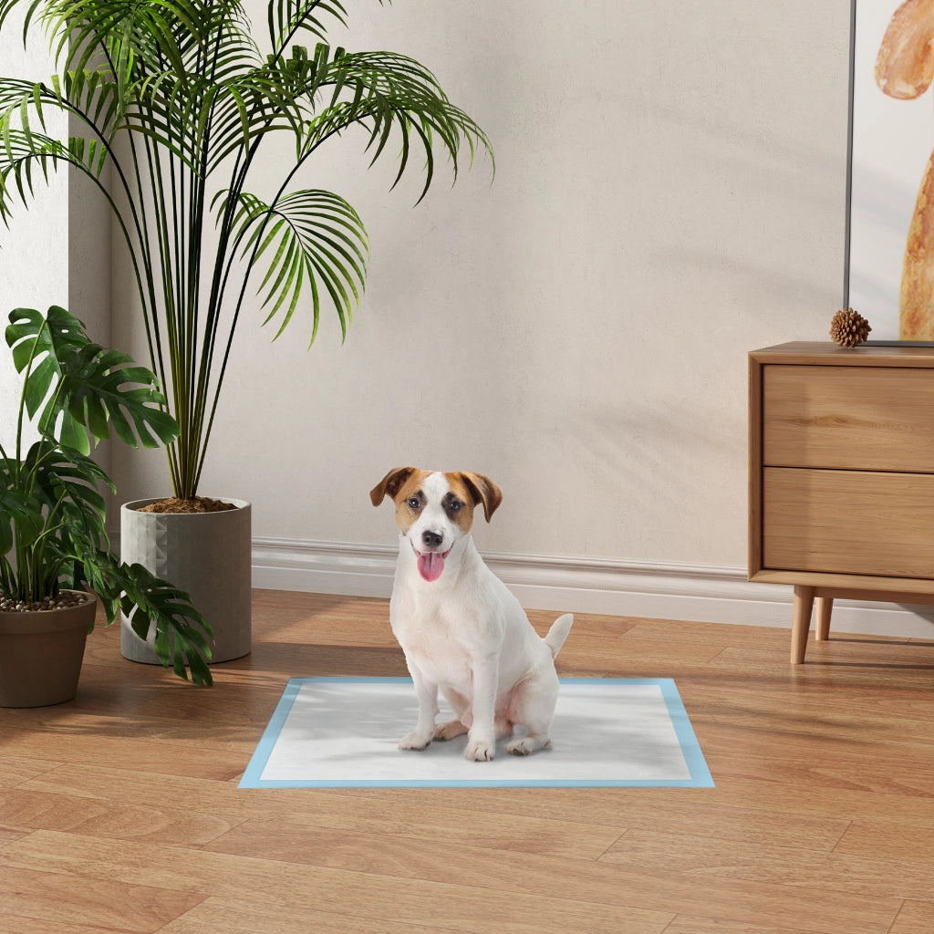 Tappetini Assorbenti per Cani 100 Pezzi ¨C Xylo ¨C 45x60 cm 6 Strati Impermeabili Asciugatura Rapida Blu
