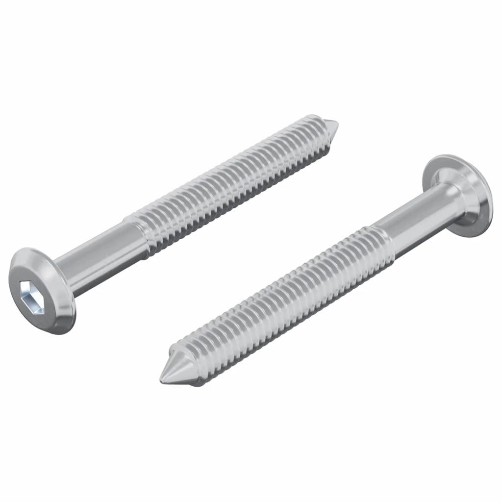 Vite 2 pz Argento M6 x 50 mm Acciaio CFW7366372