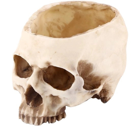 Vaso per Piante Rigido - Forma di Scatola - Multifunzionale - Decorazione per Bar/Night Club - Accessorio di Halloween - Alta Resistenza al Fattore di Sfregamento - Vaso per Piante