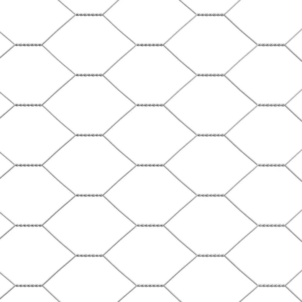 Gabbia per polli 2 pcs Argento 400 x 200 x 200 cm 3368317