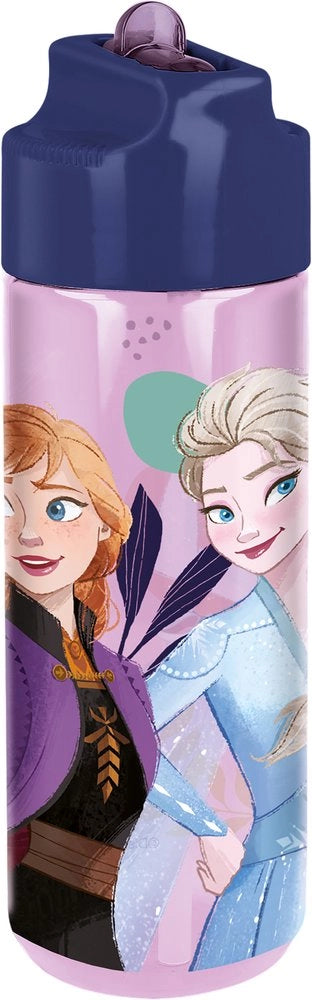 Borraccia Originale Disney Frozen in ecozen per bambini da 540 ML.
