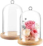 Supporto vetrato con base in legno - Copertura decorativa 18 cm alta, 2 pezzi
