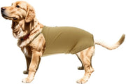 Luiers per cani XL - Lavabili/riutilizzabili - Cinturino regolabile - Progettato per assorbimento - Cotone - Comodo per animali domestici - Pantaloncino per cani