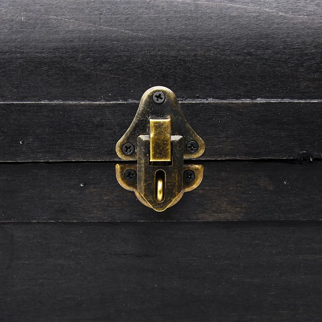 Baule del Tesoro in Legno Grande Nero CFW2736478