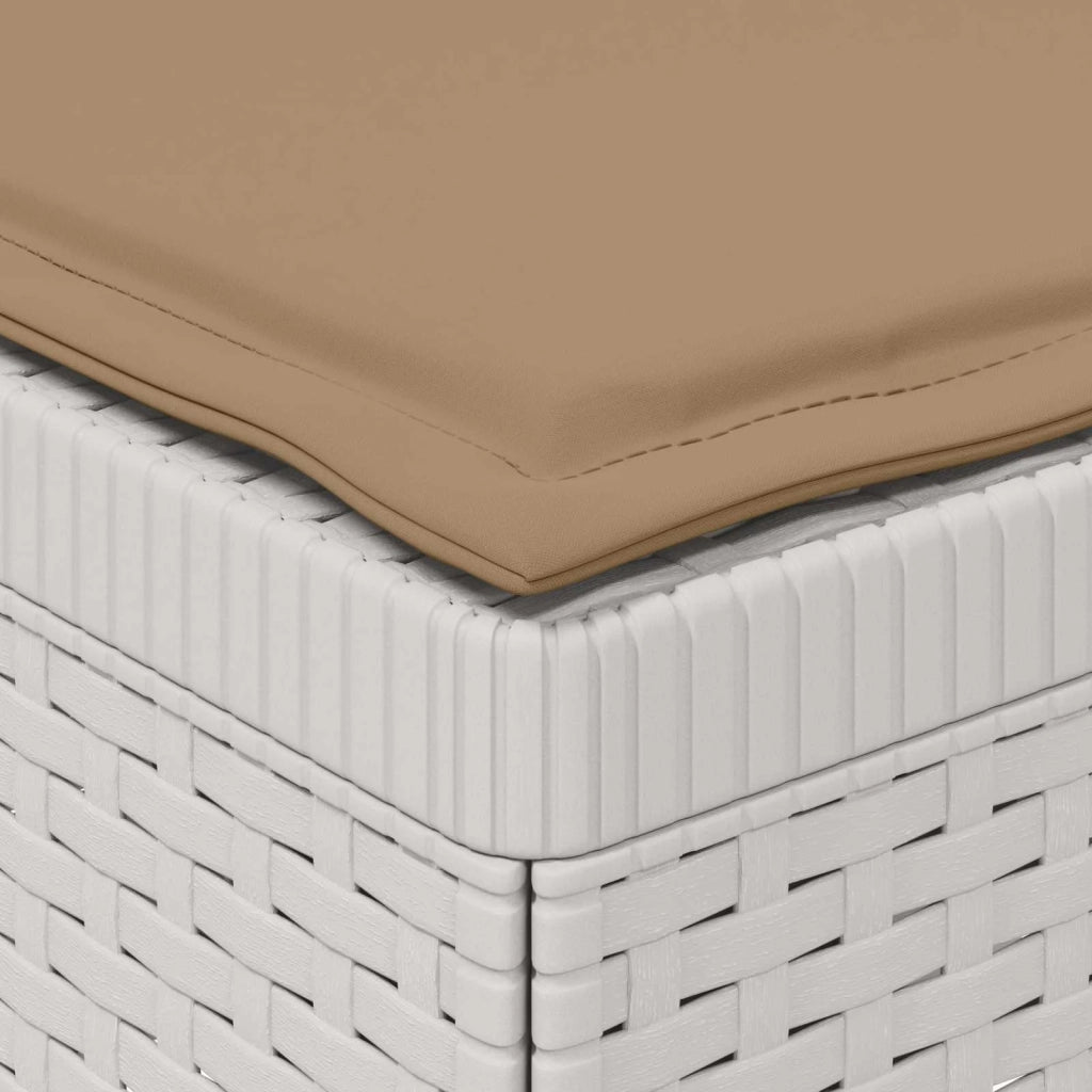 Divano da Giardino a 1 Posto con Cuscino Aspetto Rattan PP 8011770