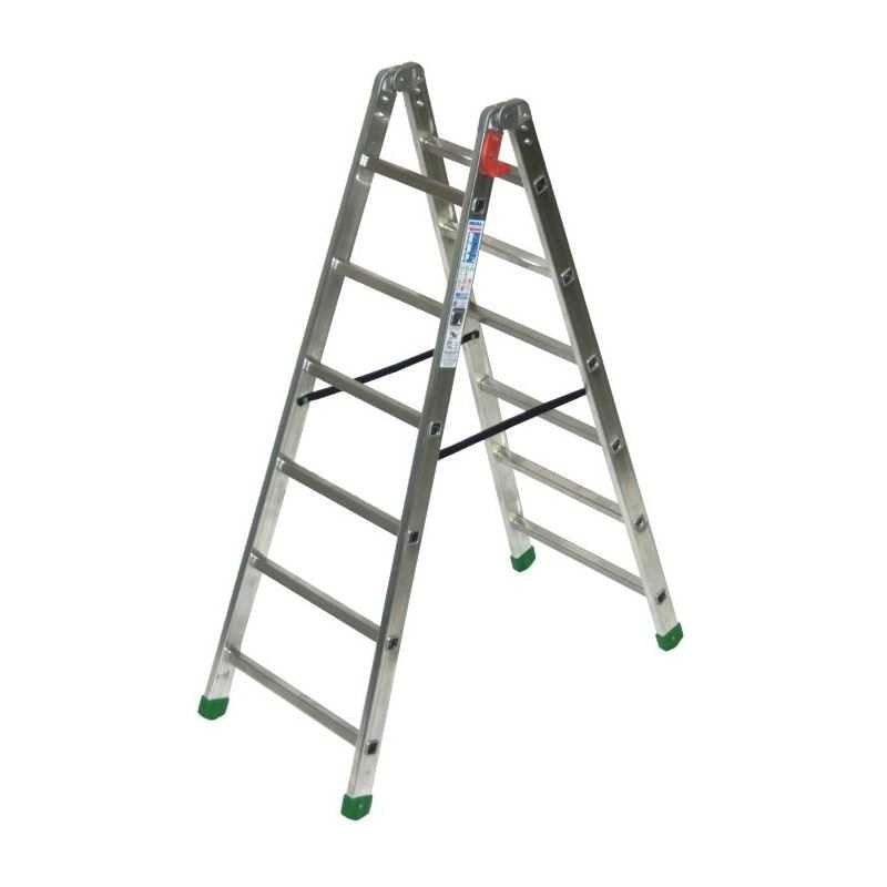 Scala All Doppia Salita Professional 1 Gradini 6 Facal
