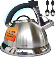 Teiera a doppio filtro - 2,8 litri - Maniglia in acciaio inossidabile iCool - Teiera con infusori - Per fornelli a gas o induzione
