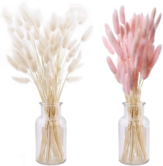 Pampas 50 pezzi - Bouquet di fiori secchi - Rinnovabile - Rosa/Bianco - Decorazione per Matrimonio - Materiale eco-friendly
