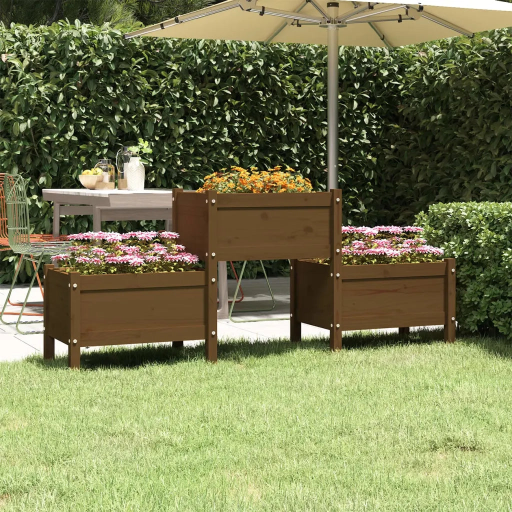 Fioriera Marrone Ambra 178,5x44x75 cm in Legno Massello di Pino 822250