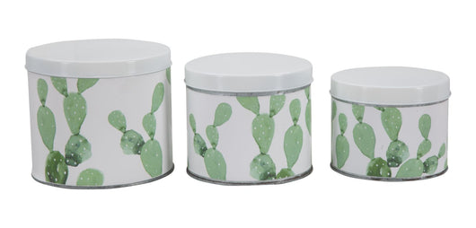 Cofanetti in Latta Cactus Set 3 Pz Ø15x13,5-14x11,5-12,5x10 cm in Ferro Bianco, Verde