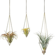 Display per Tillandisia Air Plant Moderne - 3 pezzi - Vaso Geometrico per Piante - Catena per Piante da Serra in Bronzo