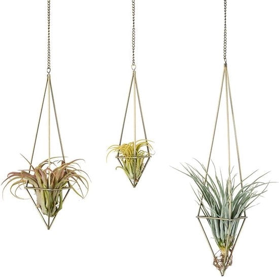 Display per Tillandisia Air Plant Moderne - 3 pezzi - Vaso Geometrico per Piante - Catena per Piante da Serra in Bronzo