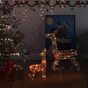 Famiglia di Renne di Natale 160 LED Colorate in Acrilico