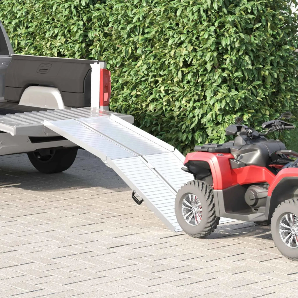 Rampa per sedia a rotelle 270 kg Argento 270 kg Alluminio 42021098