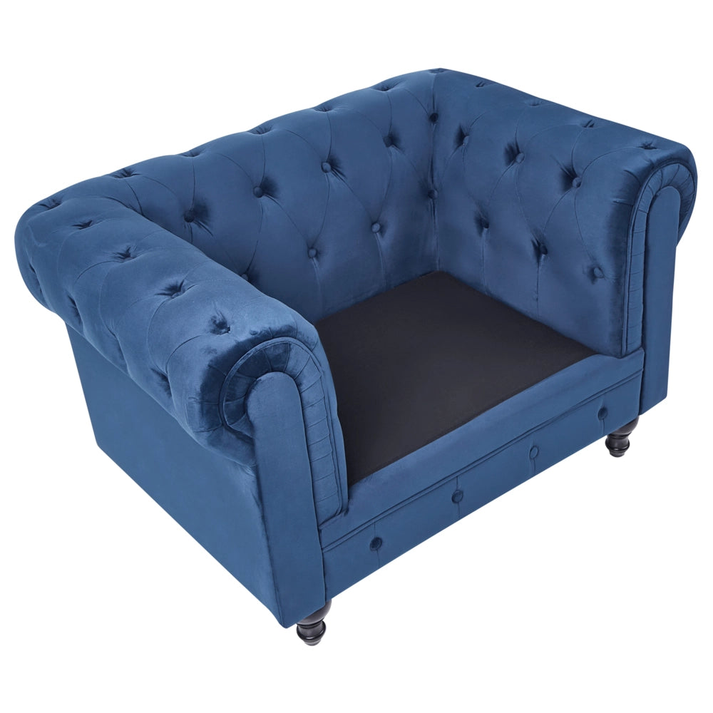 Poltrona Chesterfield Rivestimento in Tessuto Velluto Blu Gambe in Legno Scuro Contemporaneo