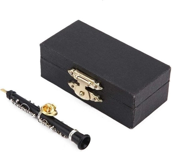 Mini strumento musicale hobòide in miniatura con cassetta di custodia rivestita di velluto.