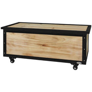 PANCA CONTENITORE DA 121L CON 4 ROTELLE E MANIGLIE IN LEGNO E ACCIAIO, 100X50X43CM, COLORE LEGNO
