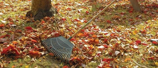 Lama in Plastica per Giardino 550mm - 23 Denti - Rasoio per Erba e Gazon - Manico Naturale in Legno Impregnato - Rasoio per Livellare e Raccogliere Erba