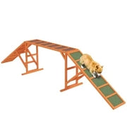 Rampa per l'agilità del cane, percorso, antiscivolo, resistente alle intemperie, legno, 325 x 55 x 69 cm, Arancione