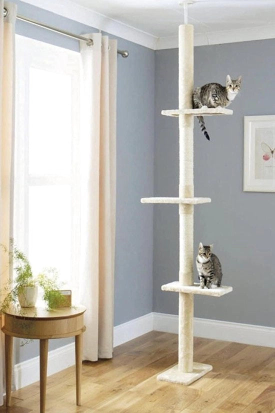 Scaffalatura per gatti e krab - krab per pavimento fino al soffitto - altezza regolabile - mobile per gatti