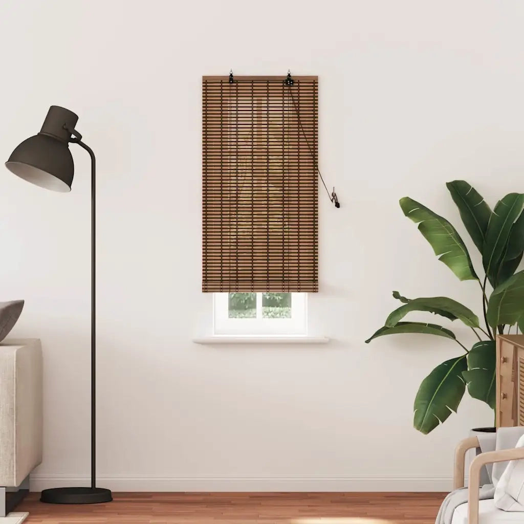 vidaXL Tenda per Finestra con tende Marrone 60 x 220 cm Bambù
