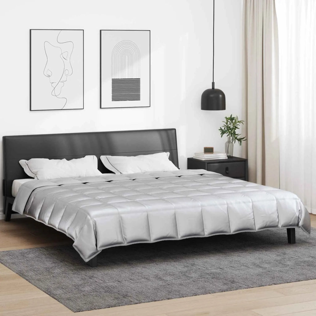 Piumone | Duvet Completo Annuale Argento 240 x 260 cm Satin e Micropile