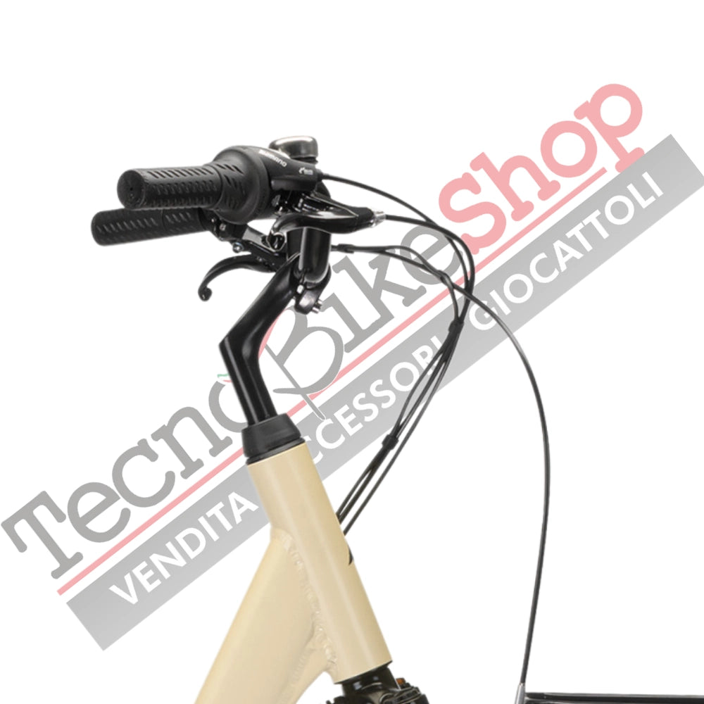 Bicicletta Elettrica A Pedalata Assistita MBM Rhea 26"-Beige