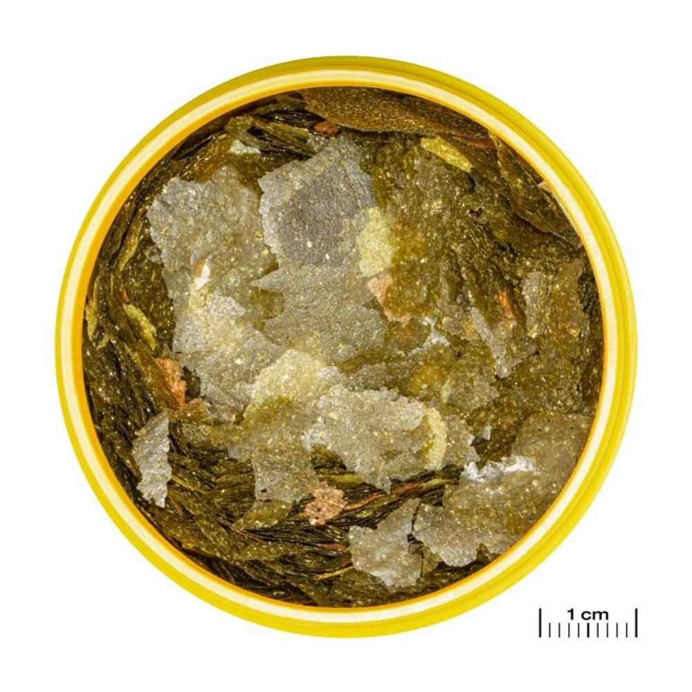 JBL ProNovo Malawi Flakes M - fioccato per Ciclidi da 8 a 20cm Formato: 250 ml