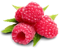 Lampone Rubus idaeus Himbo Top rifiorente – Varietà produttiva