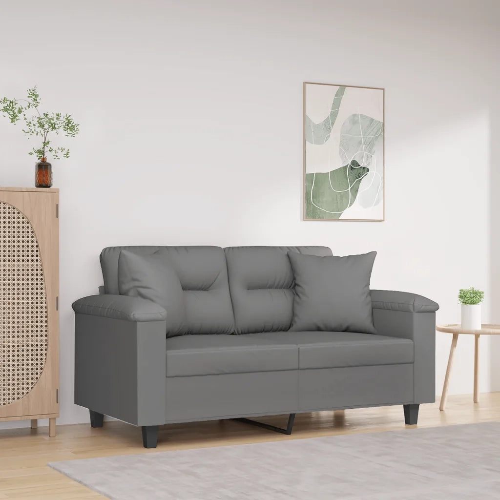 Divano | Divano da soggiorno | Sofa 2 Posti Cuscini Grigio Scuro 120 cm Tessuto Microfibra