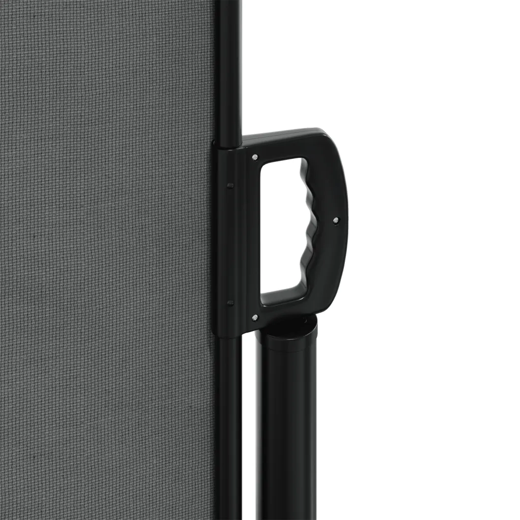 Tenda da Sole Laterale Retrattile-Tenda parasole per balcone Antracite 160x1000 cm