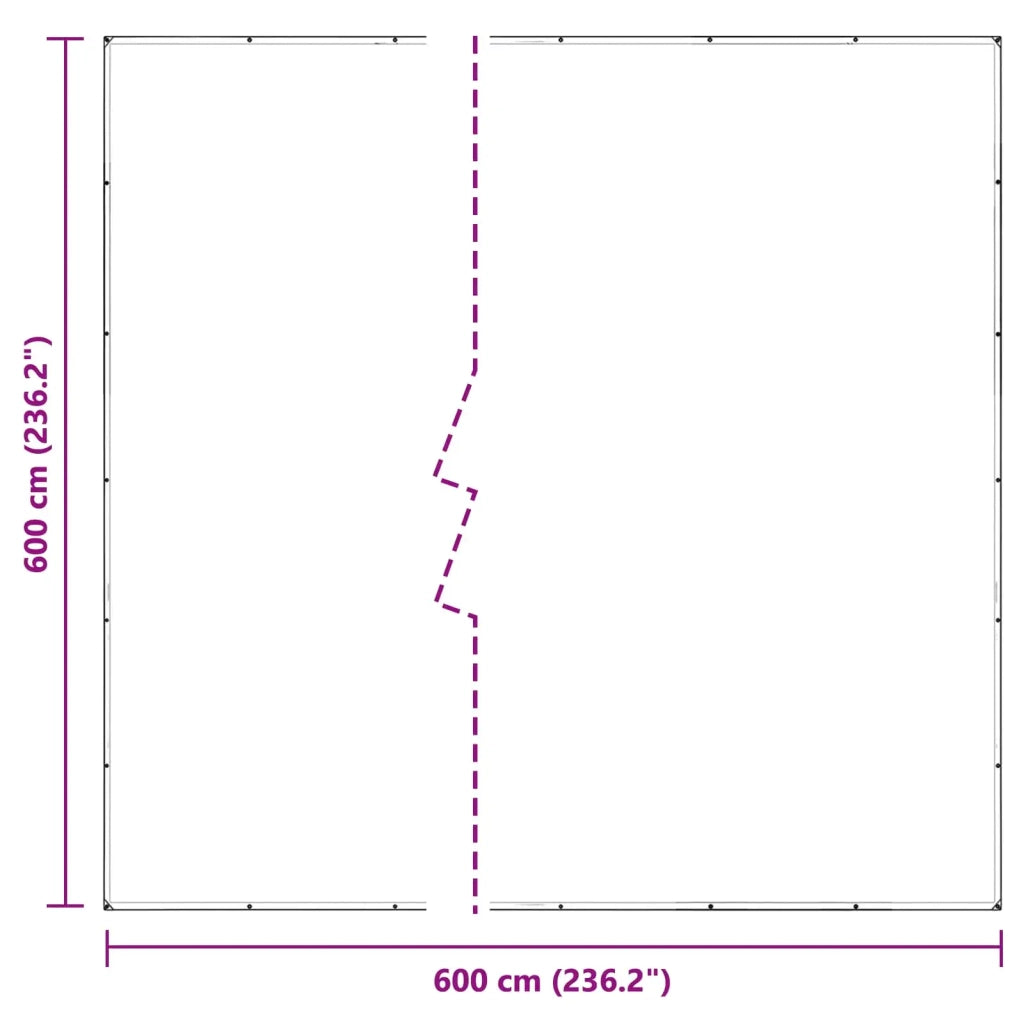 Copertura per Piante Trasparente 6 x 6 m PVC CFW3139906