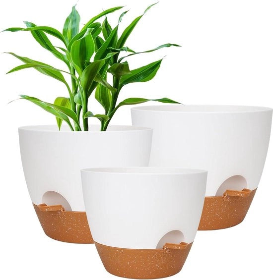 Vaso autoirrigante per orchidee con sistema di irrigazione per grandi piante, vasca per interni ed esterni con sottopiano.