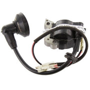 J-SKY 2 SPK    BOBINA ELETTRONICA  FIG 43- 1,0 pz