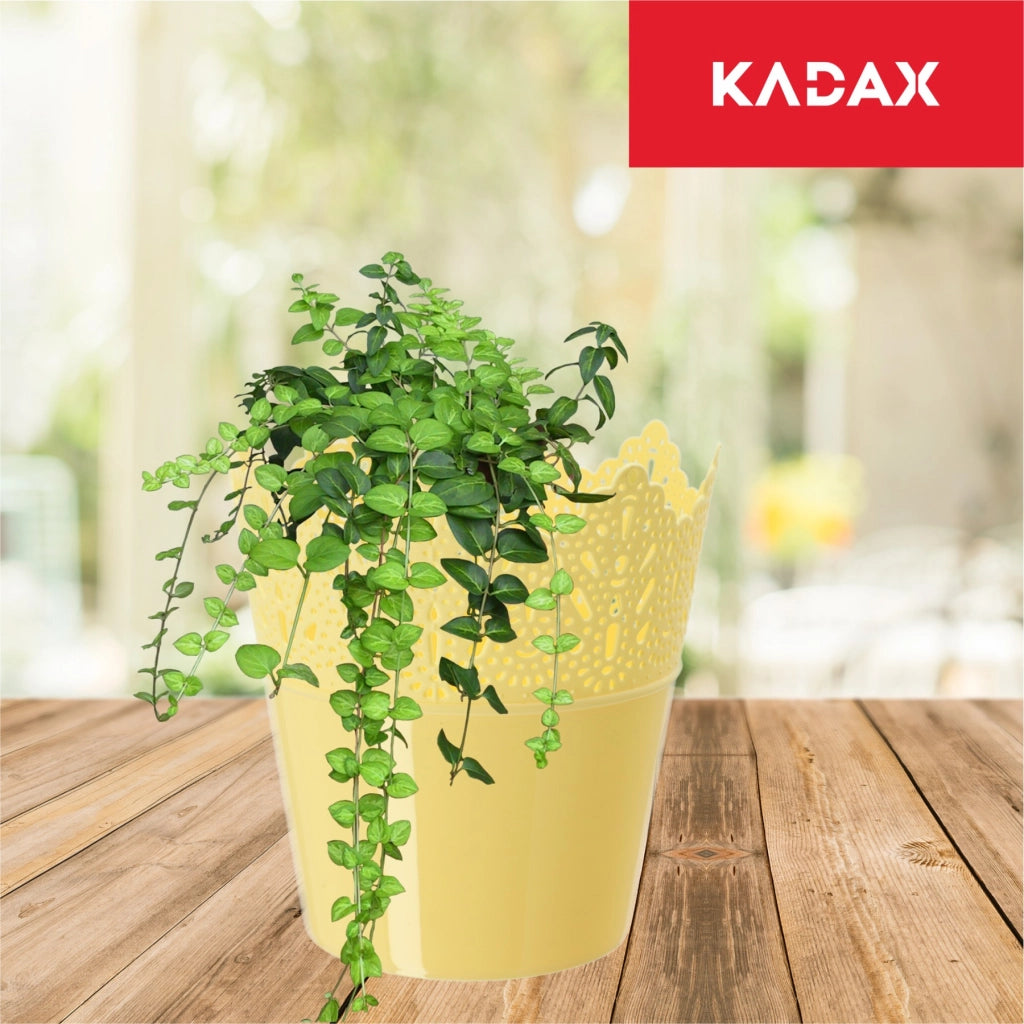 Vaso da fiori KADAX, vaso da fiori, coperchio, alto, in plastica, 12 cm, giallo