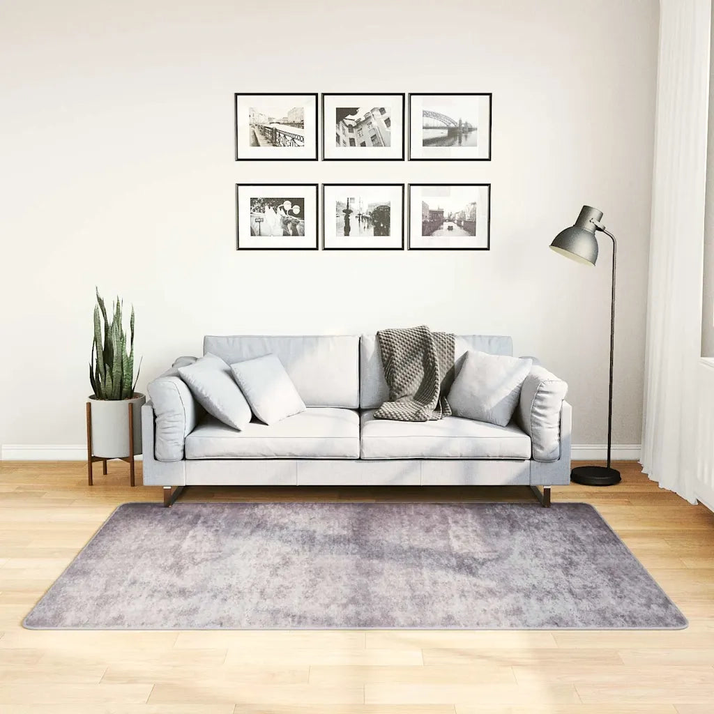 Tappeto del soggiorno | Tappeto Lavabile 120x180 cm Grigio