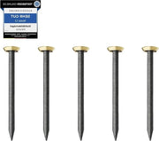 50 Spilli con 30 mm di Lunghezza - Spilli in Acciaio per Cemento, Mattoni, Plastico, Legno - Fatto in Europa - Testa in Oro