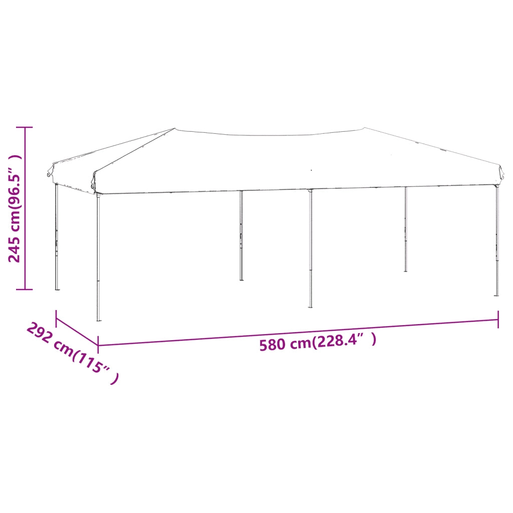 Tenda per Feste Pieghevole Antracite 3x6 m