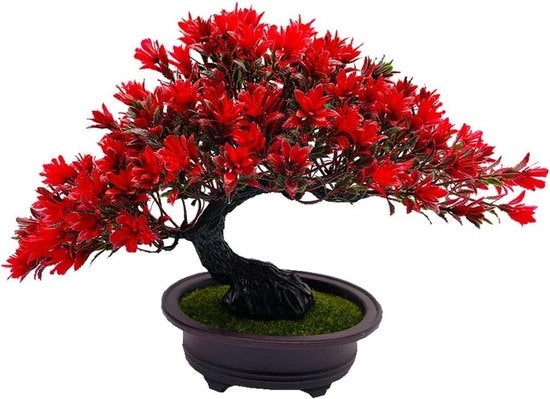 Albero di Juniperus Artificiali Giapponese Plus - Alberi decorativi realistici per casa, ufficio e soggiorno